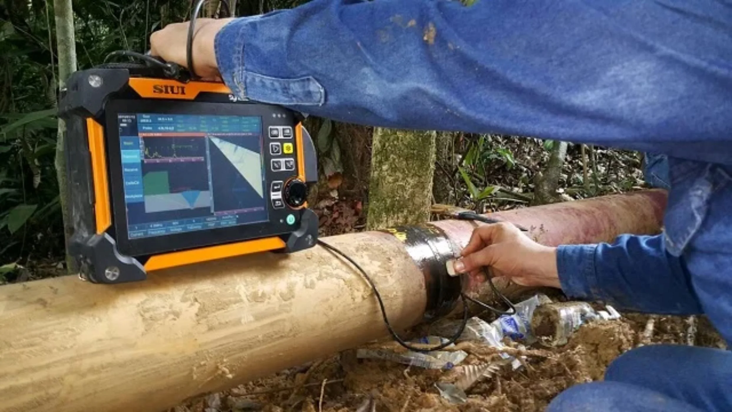 Imagen 3 de la galería