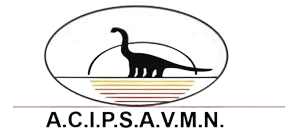 Certificación de inspección 6